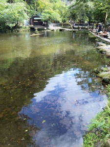 高千穂峡の池１